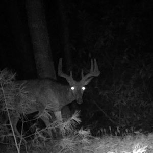 Meet your Posher, Chad